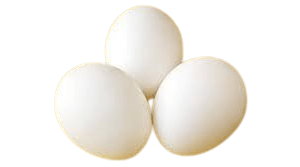 تخم مرغ ایرانی