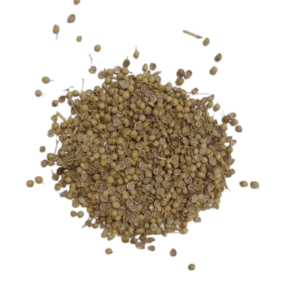 تخم گشنیز 100 گرام