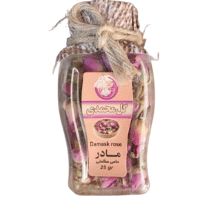 گل محمدی مادر